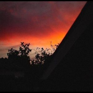 Meet your Posher, Kassandra